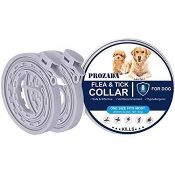 Collar Antiparasitario para Perros PROZADA