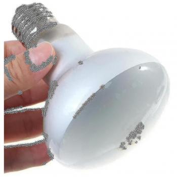 Luz UV para Anfibios y Reptiles
