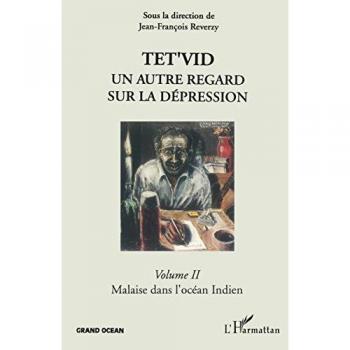 Tet'vid un autre regard sur la dépression t.2