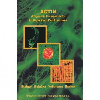 Actin: A Dynamic Framework for Multiple Plant Cell Functions