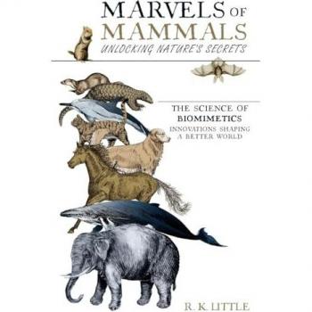 Marvels of Mammals: Unlocking Nature's Secrets The Science of Biomimetics Innovation Shaping a Better World