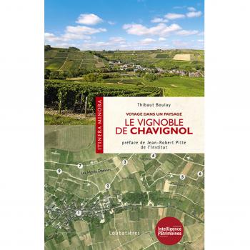 Le vignoble de Chavignol