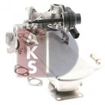 AKS DASIS 040063N Sistema EGR