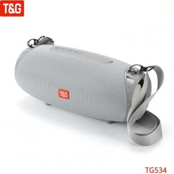 Haut-parleur sans fil T & G TG534 avec Radio FM
