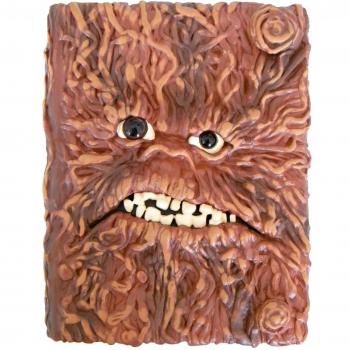 Il libro segreto dei maghi. Ediz. plastificata -