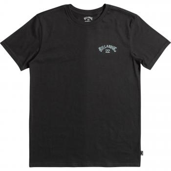 Billabong Kids Arch Fill Camiseta Negra y Cómoda