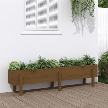 Canteiro de Horta 160x30x38 cm Pinho Maciço Castanho-Mel