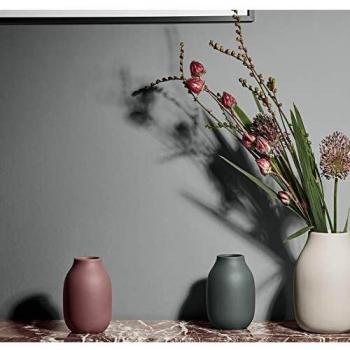 Blomus Dekovase COLORA Klein Moonbeam