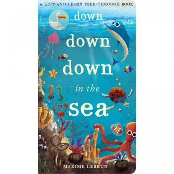 Down Down Down in the Sea: A lift-and-learn peek-through book by Jonathan Litton