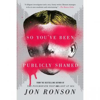 So You've Been Publicly Shamed
