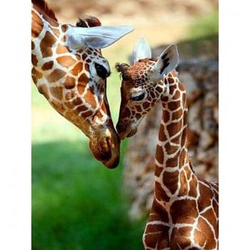 Projet 5D Girafe à Faire Soi‑même – Broderie Diamant Animal, Point de Croix 20x30 cm