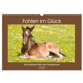 Fohlen im Glück