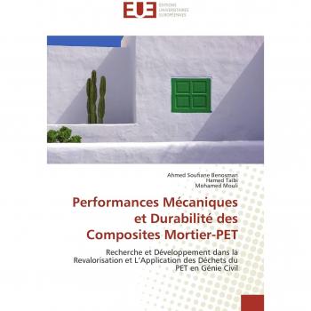 Performances Mécaniques et Durabilité des Composites Mortier-PET: Recherche et Développement dans la Revalorisation et L’Application des Déchets du PET en Génie Civil