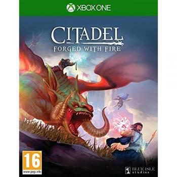 Citadel Forged with Fire
