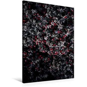 Calvendo Textil‑Leinwand 60 x 90 cm – Frostige Blutberberitze (Jana Mänz)