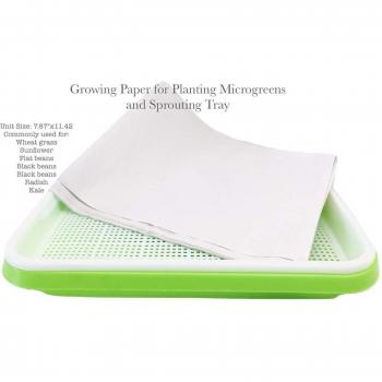 Outil de Germination Vert