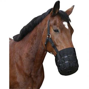 Covalliero Shetty Horse Muzzle