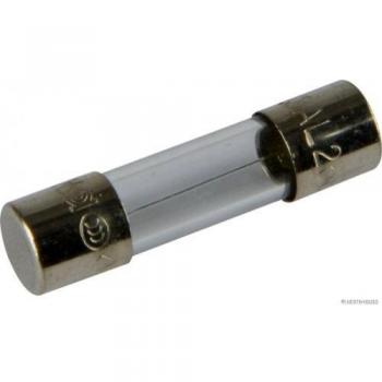 Herth+Buss Elparts 50295054 Glas‑Sicherung (Ø5 mm)