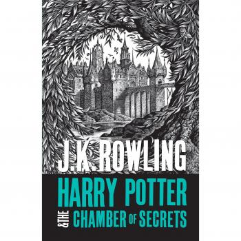 Harry Potter and the Chamber of Secrets by J. K. Rowling 9781408894637 NEW