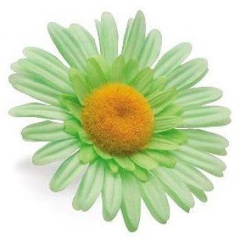 Manopole Bici Menta Daisy Electra