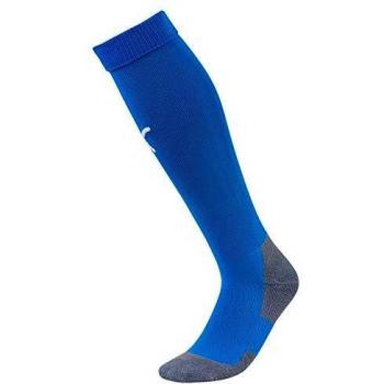 Puma Liga Core Pro Series Socks