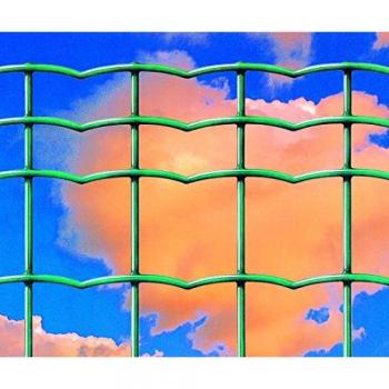 Everplax Rete 100x50 mm H100 Green Rotolo di 25 m per Salone