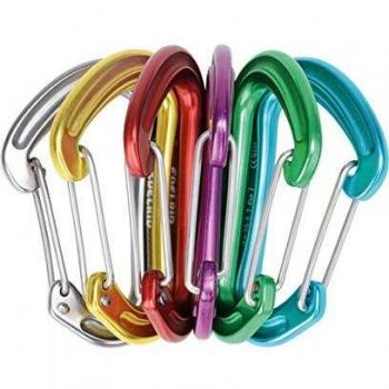Edelrid Nineteen G Carabiner Assorted Colors