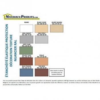 Etanchéité Elastique Protection Décoration Toiture 1 Kg Gris Perle