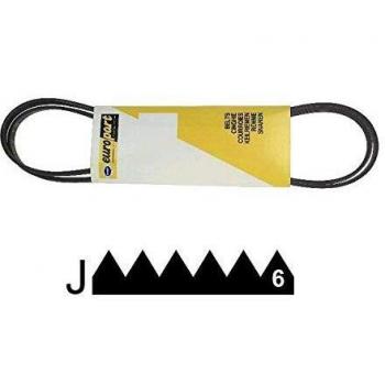 Courroie Hutchinson 1226J6 pour Indesit