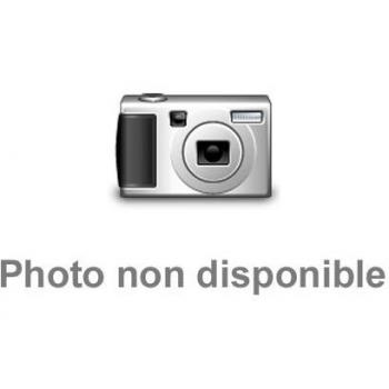 Premiers galops : Manuel officiel des galops 1 et 2 du Poney-club de France