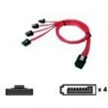 Chenbro Mini SAS 36pin-to-SATA Cable, 0.6 m, Red