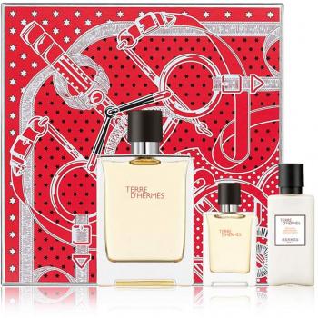 Hermes Terre d'Hermès Signature Gift Box: 100 ml Eau de Toilette, 40 ml Aftershave & 12.5 ml Mini