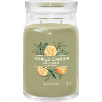 Sage & Citrus Yankee Candle