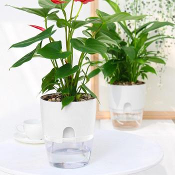 Macetero de Flores Auto-Agua para Espacios Verdes