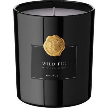 Wild Fig Harmony Candle – Private Collection