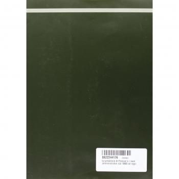 La provincia di Firenze e i suoi amministratori dal 1860 ad oggi