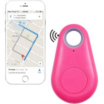 Punto de Búsqueda Compacto PetSafe