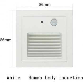 Aluminum Sensor Walkway Light