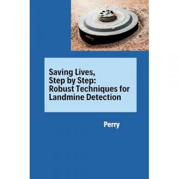 Saving Lives Step by Step: Robust Techniques for Landmine Detection