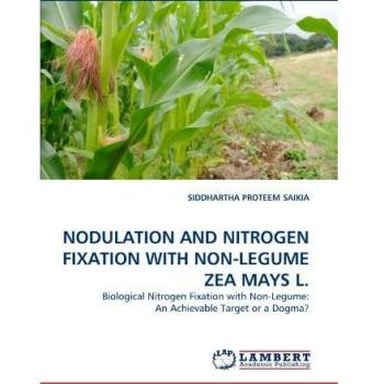 NODULATION AND NITROGEN FIXATION WITH NON-LEGUME ZEA MAYS L.