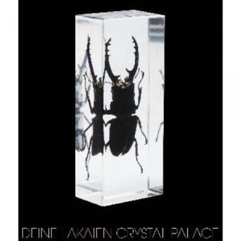 Crystal palace