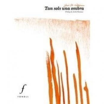 Vestigis, mèmories i símbols a les comarques de ll (Tapa blanda).