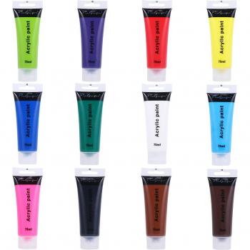 12-Color Wall Painting Acrylic Paint Set