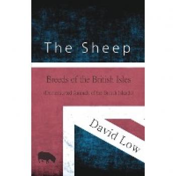 The Sheep
