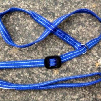 GenCon FlexiCollar Blue/White
