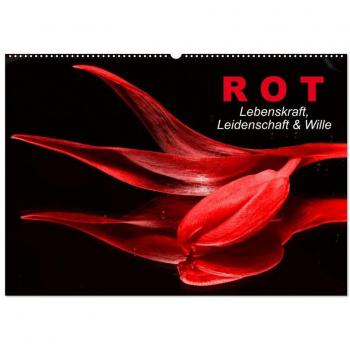 Rot Lebenskraft Leidenschaft & Wille (Wandkalender 2024 DIN A2 quer) CALVENDO Monatskalender