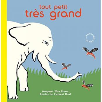 Tout petit, très grand : Petites bêtes et éléphants