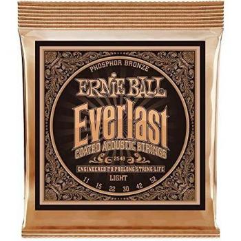 Ernie Ball 2548 Phosphor Bronze