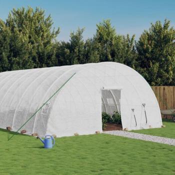 Maison Exclusive Greenhouse 18x6x2,85 m