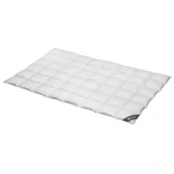 Daunenbettdecke SPESSARTTRAUM Wildente Bettdecken 135x200cm & weitere Größen, silber (silberfarben), B:155cm L:200cm, Bezug: 100% Baumwolle. Füllung: 100% Daunen, Bettdecken, Bettdecken Ganzjahresbettdecke, Winter, Sommer